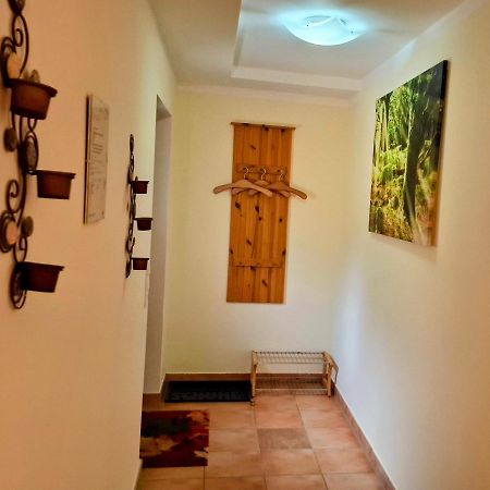 Ferienwohnung Im Landhaus Am Nationalpark Ludwigsthal ภายนอก รูปภาพ