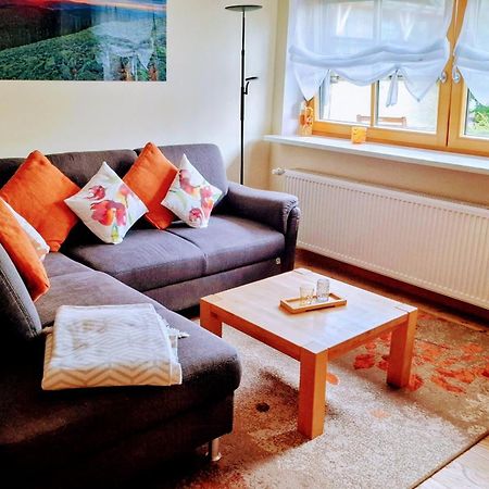 Ferienwohnung Im Landhaus Am Nationalpark Ludwigsthal ภายนอก รูปภาพ