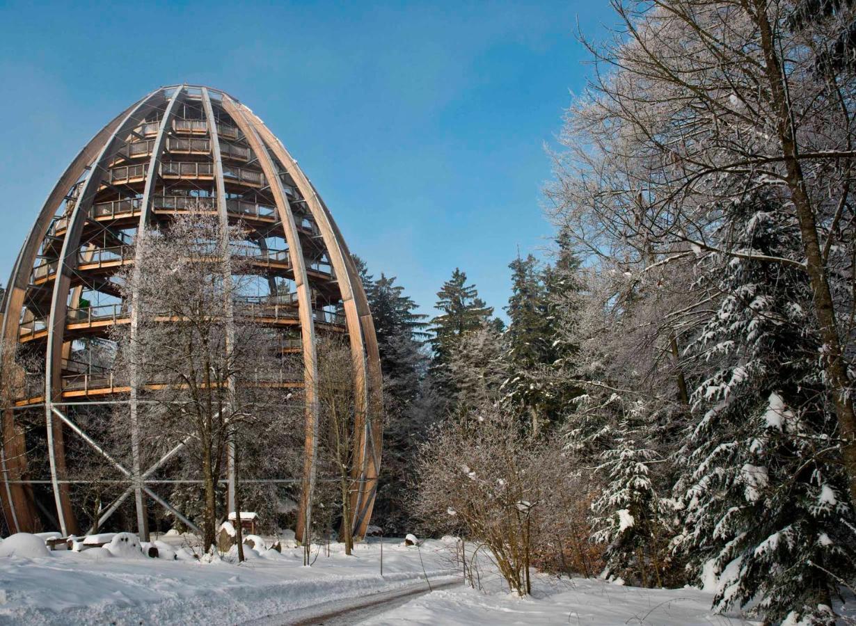 Ferienwohnung Im Landhaus Am Nationalpark Ludwigsthal ภายนอก รูปภาพ