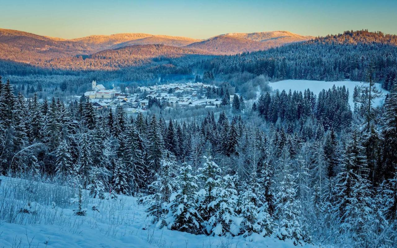 Ferienwohnung Im Landhaus Am Nationalpark Ludwigsthal ภายนอก รูปภาพ
