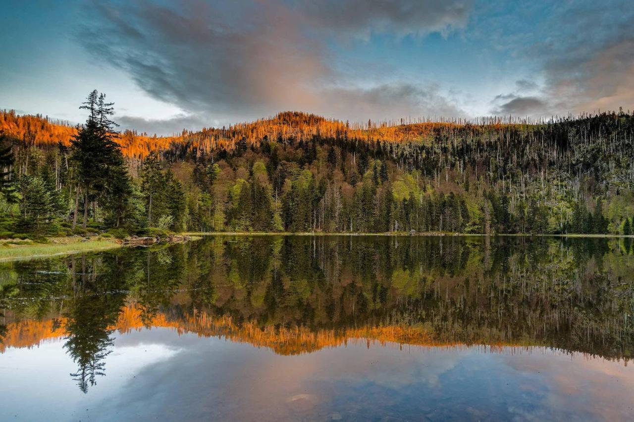 Ferienwohnung Im Landhaus Am Nationalpark Ludwigsthal ภายนอก รูปภาพ