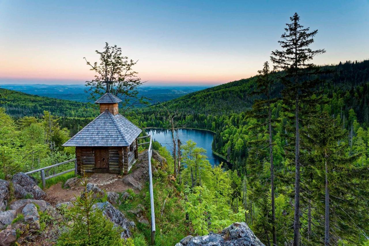 Ferienwohnung Im Landhaus Am Nationalpark Ludwigsthal ภายนอก รูปภาพ