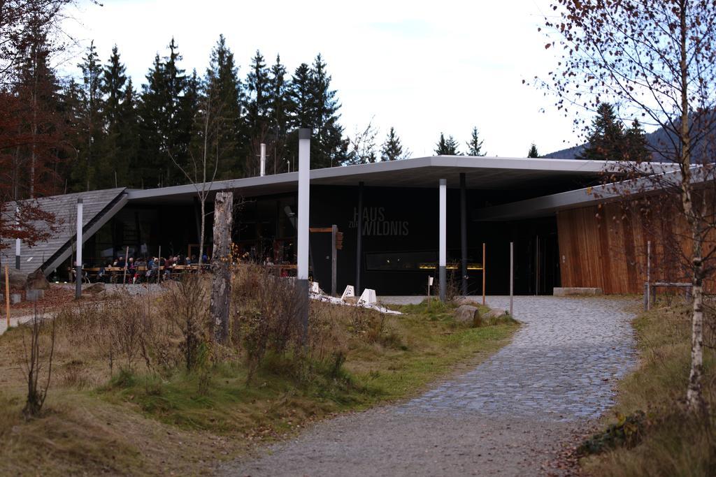Ferienwohnung Im Landhaus Am Nationalpark Ludwigsthal ภายนอก รูปภาพ