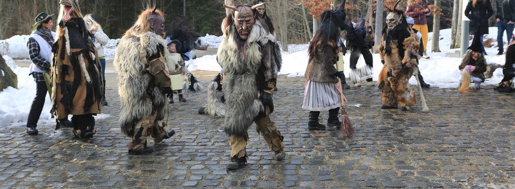 Ferienwohnung Im Landhaus Am Nationalpark Ludwigsthal ภายนอก รูปภาพ